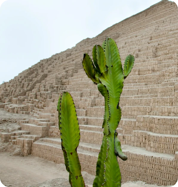 Mexico's Enchantment